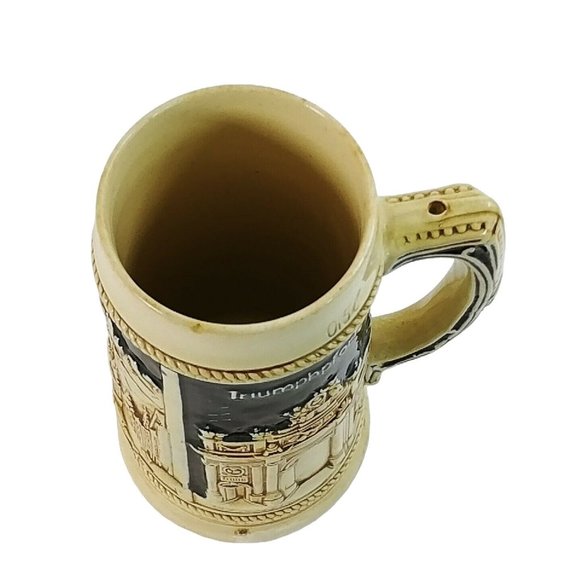 Beer Mug Stein Innsbruck with Goldenes Dachl Triumphpfore Buildings 7" Tall - Picture 10 of 12